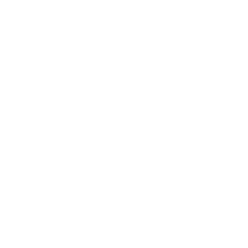 security guard icon white
