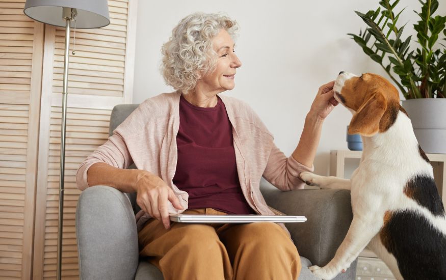 elderly woman sitting in a chair petting a beagle
