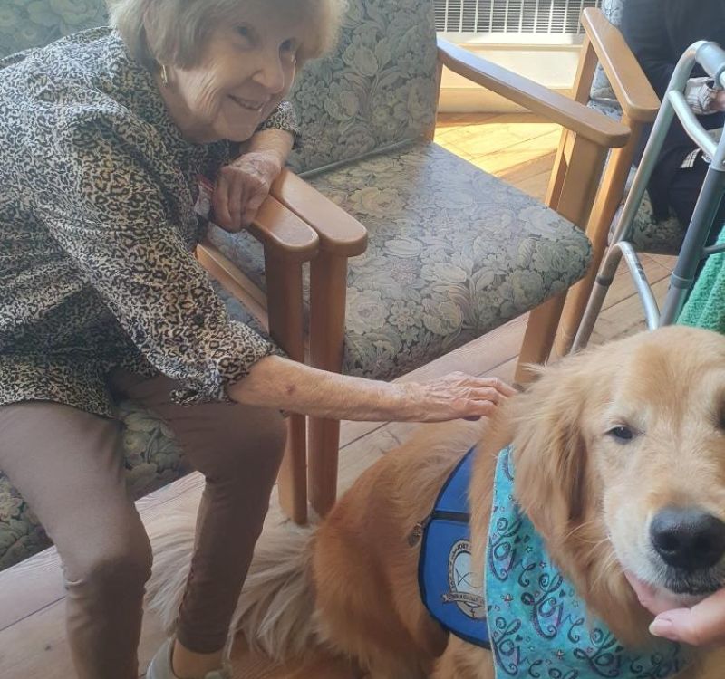 elderly woman petting a dog